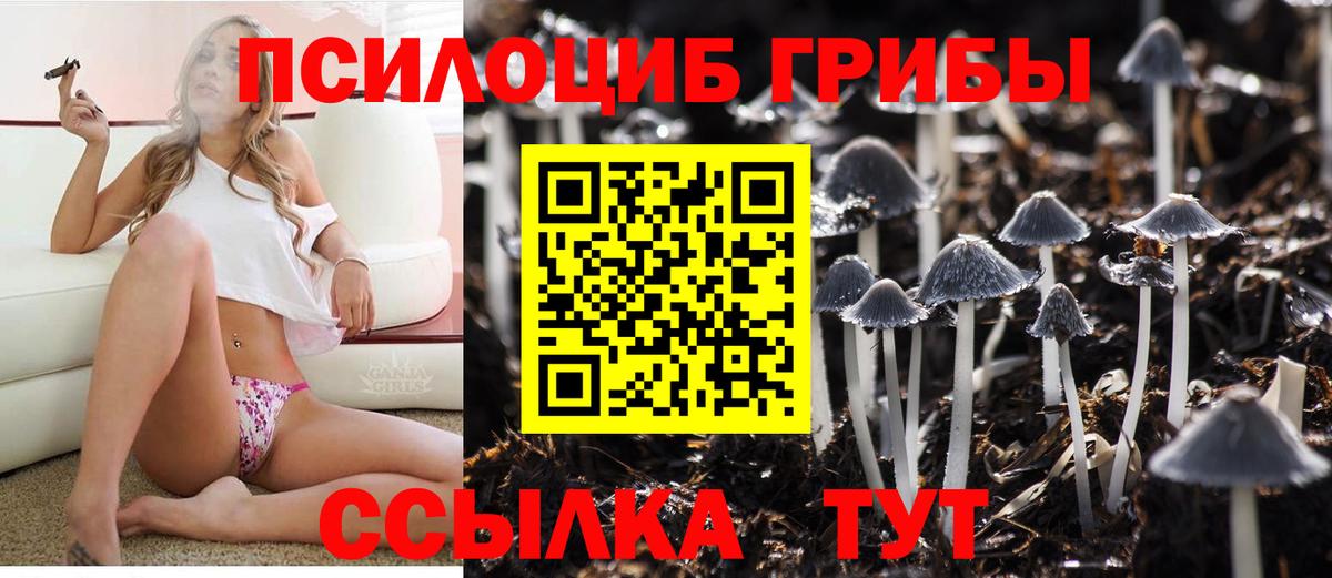 Галлюциногенные грибы Magic Shrooms Сыктывкар